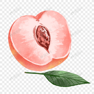 小宇宙旧版本下载APP应用